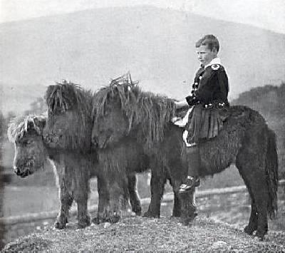 Scottish 20th centutry kilts ></a>
<hr>
<i>Figure 2.--This portrait of a Scotts boy on a pony was taken by William Reid and appeared in 