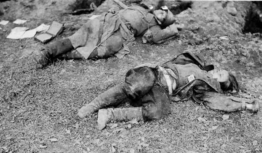 Civilian deaths in world war 2 essay