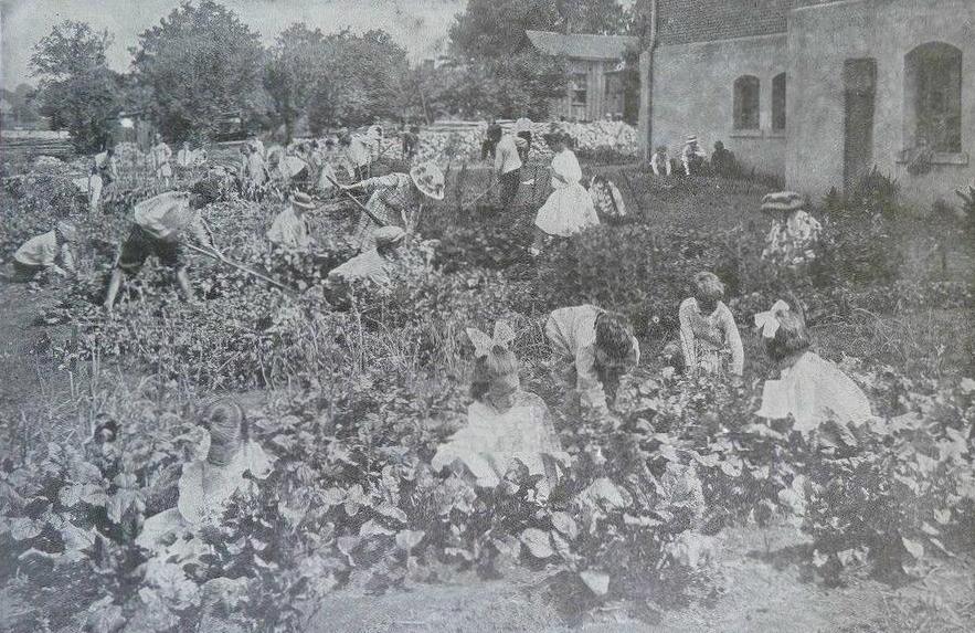 American World War I food production