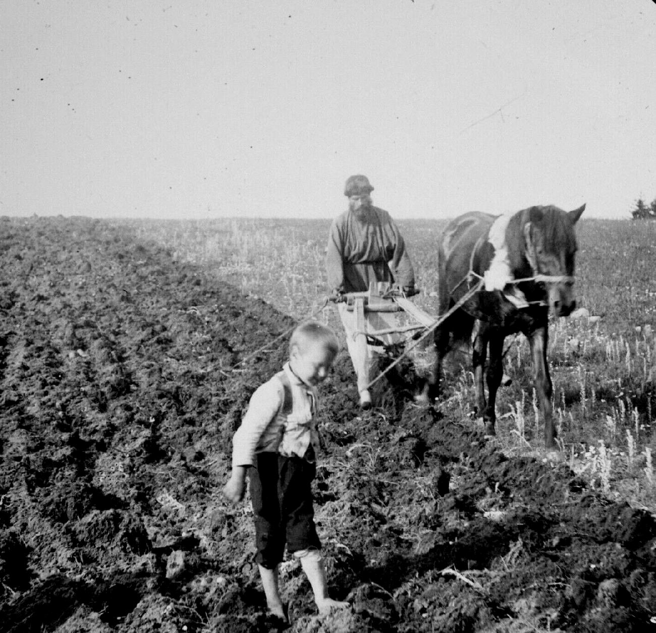 Soviet agriculture