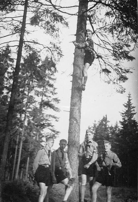 Hitler Youth boys strining wire
