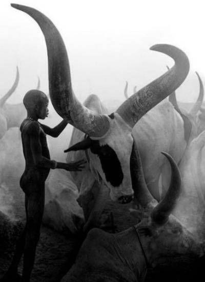 Dinka
