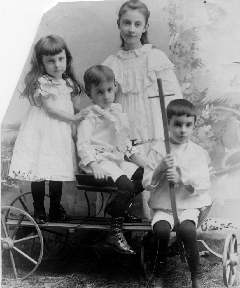 American families 1890s