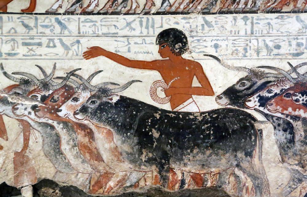 agricultural revolution