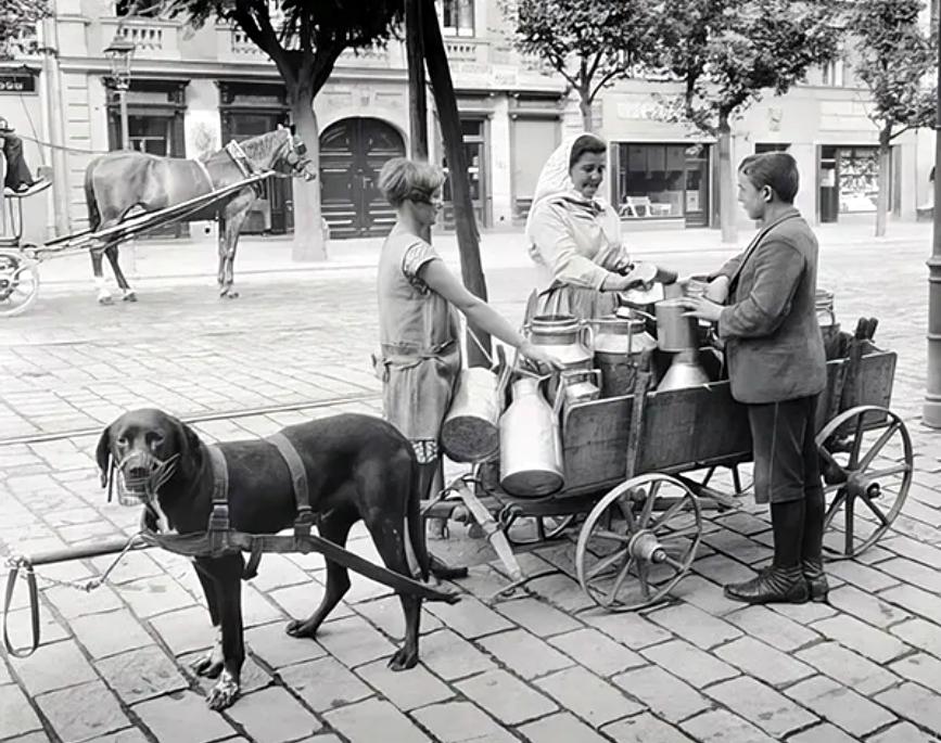 Belgian economy