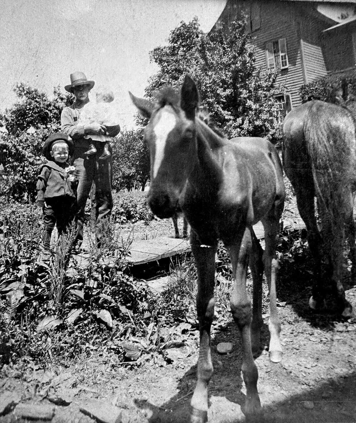 American agriculture power 