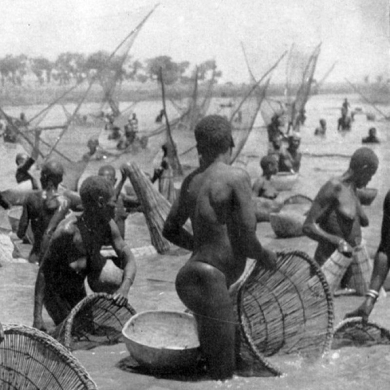 African economic progress