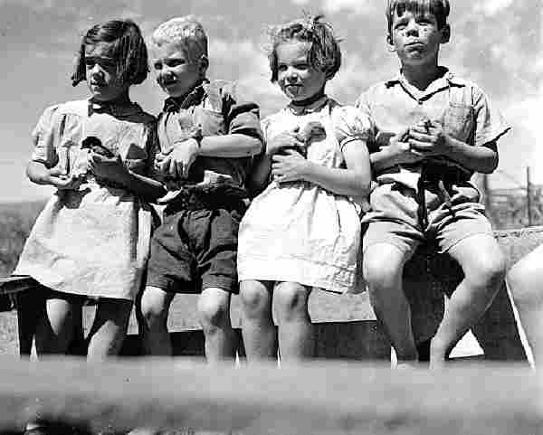 Australian orphans
