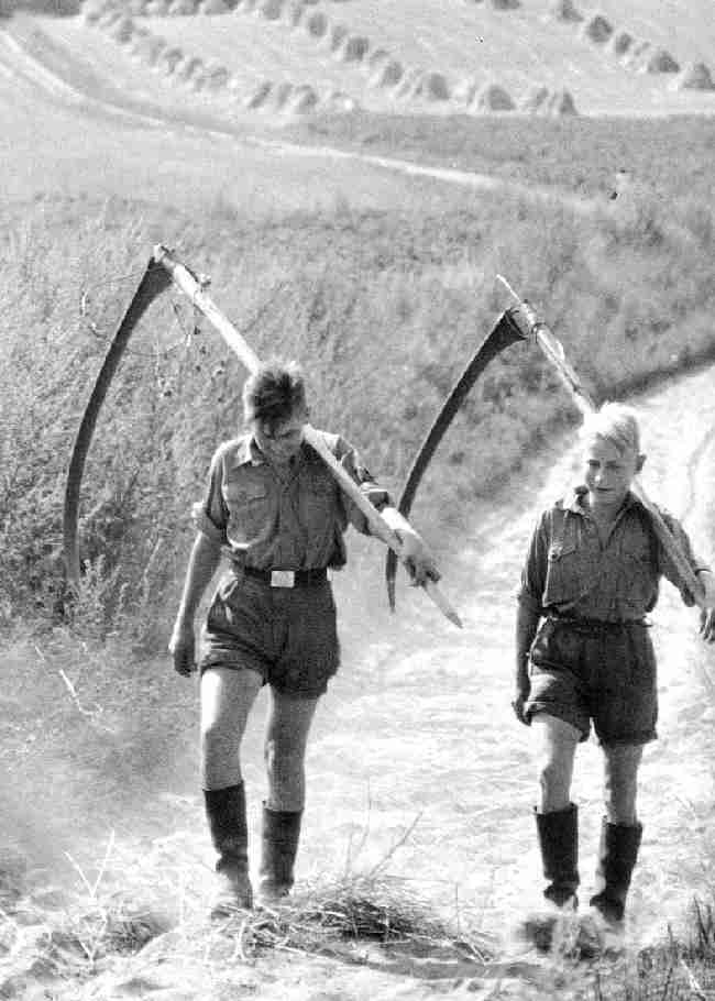 Hitler Youth farm work