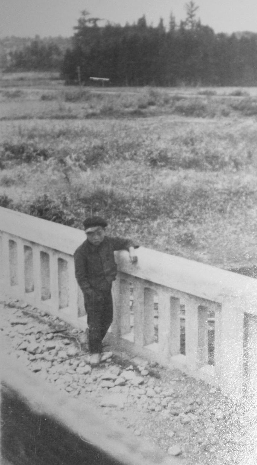 World War II Japan