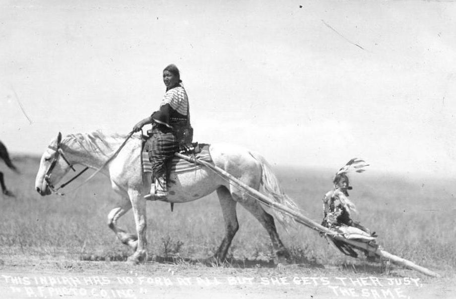 Plains tribes horses