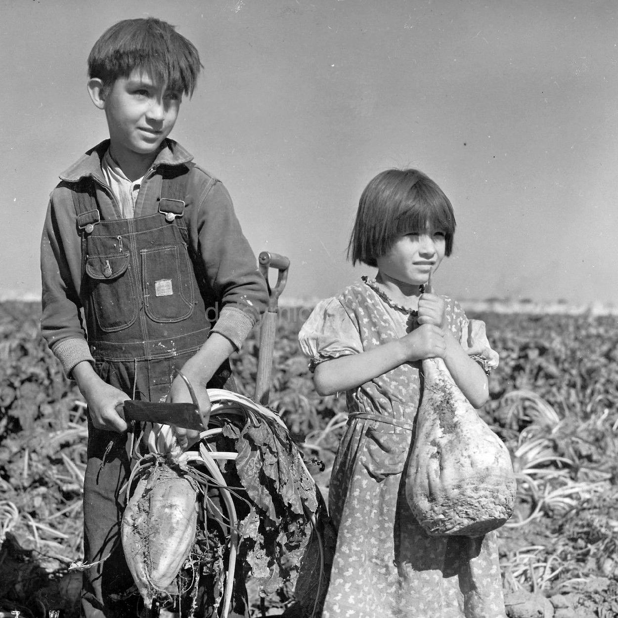 American farmers World war II