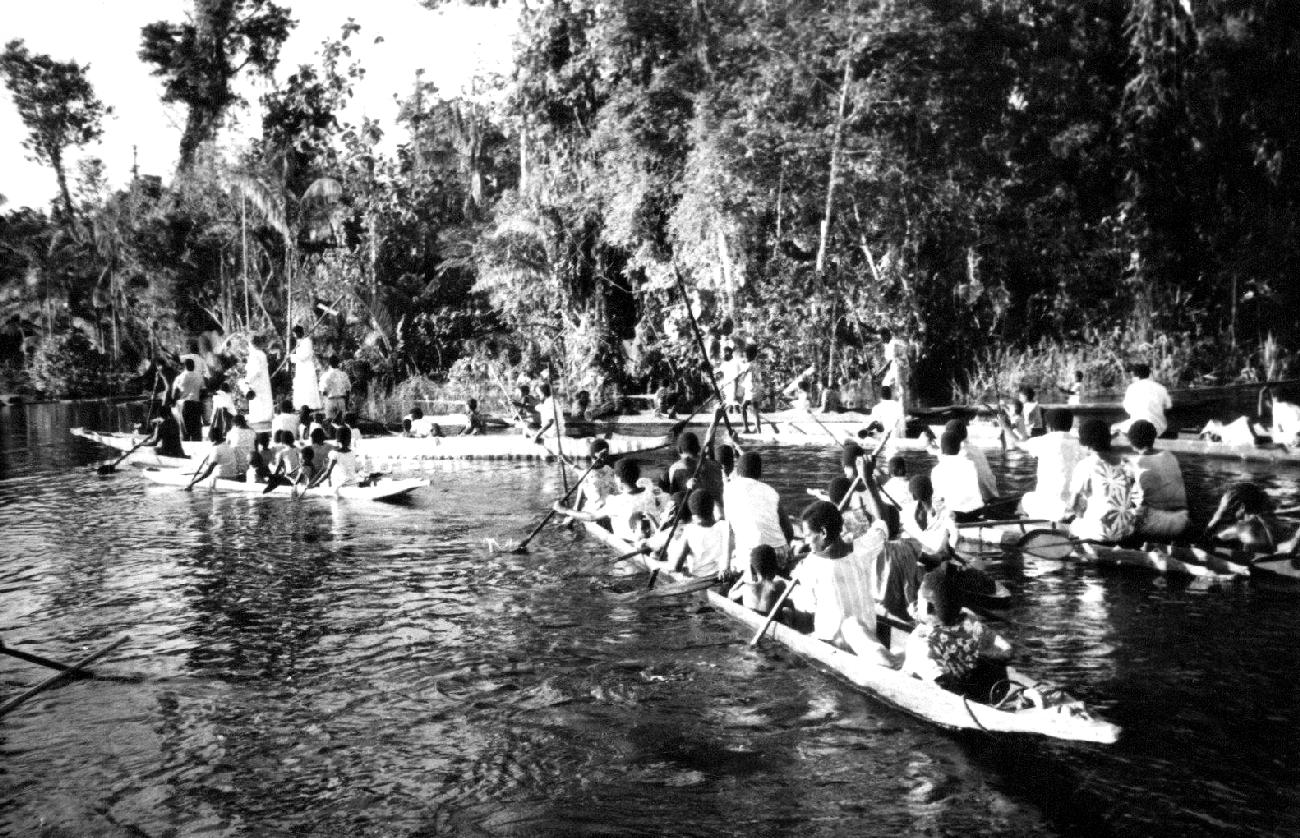 New Guinea colony