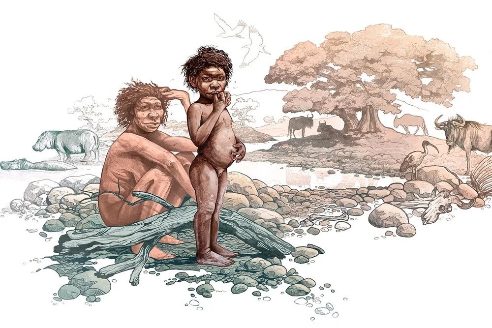 Homo erectus